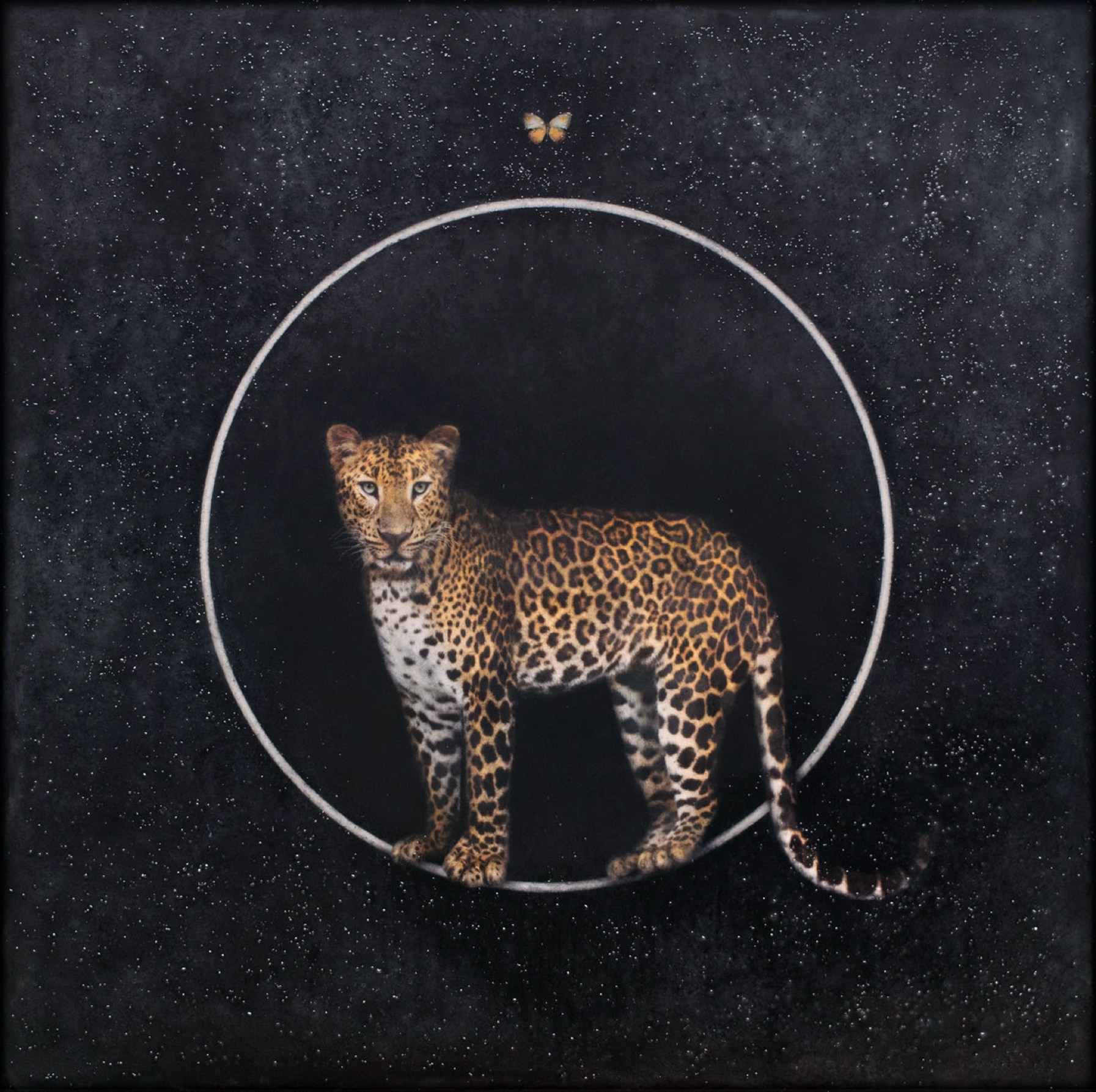 original painting of a leopard and butterfly by influential photo-encaustic artist Maggie Hasbrouck, with elements of Zen design and magical realism