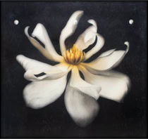 Hallucination in B Minor 60x64