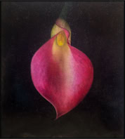 Head Over Heels 82x74 photo-encaustic painting with quartz crystals  by Maggie Hasbrouck 2023