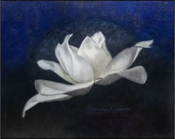To Reach, 66x82inch original photo-encaustic painting ( with glass, moonstone, and selinite) of an exuberant magnolia flower by influential photo-encaustic artist Maggie Hasbrouck, with elements of Zen design, sensuality, and magical realism 2023